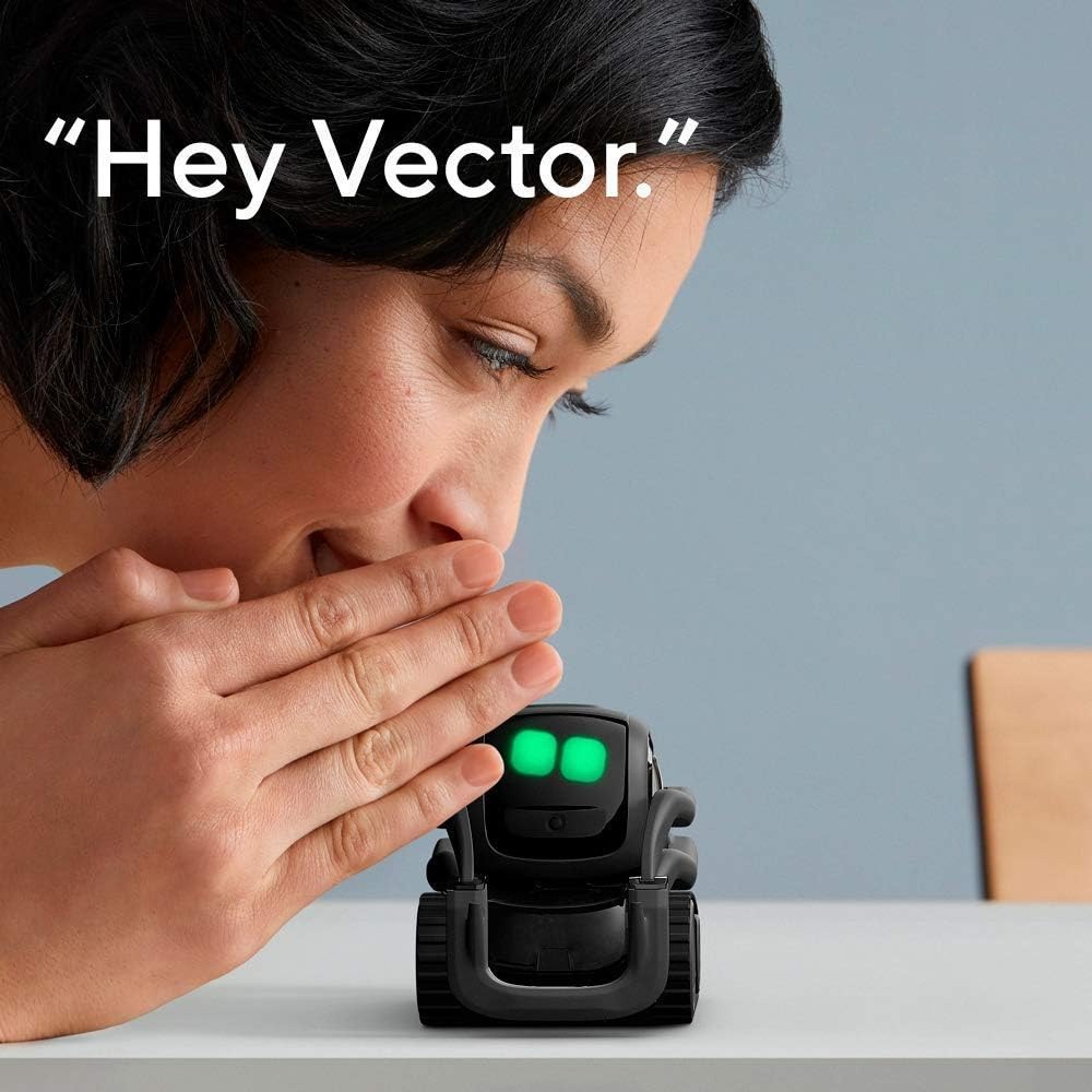 AI ChatGPT 2.0 Connected Robot - Educational Toys 评论和价格
