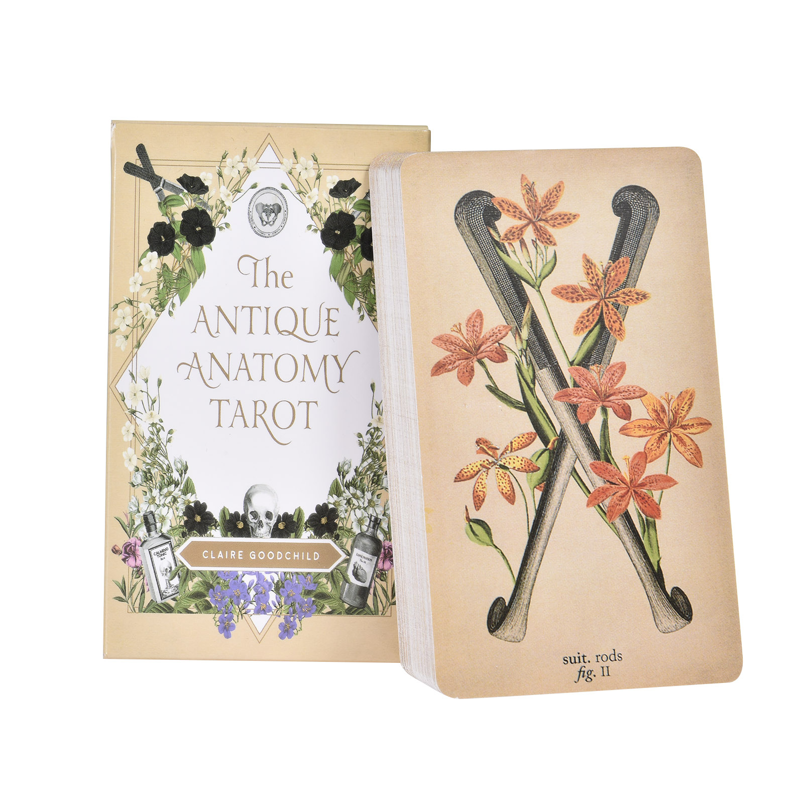 The Antique Anatomy Tarot Card - Tarot Cards Deck With Guidebook 评论和价格